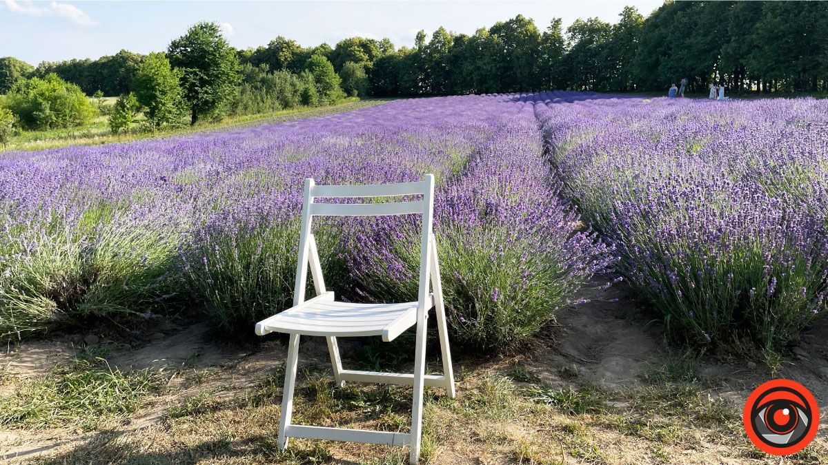 У пошуках сили і спокою: лавандове поле в с. Коршів 12