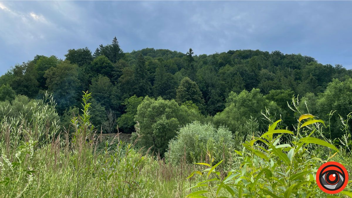 Відпочинок поряд | Енергія гір у селі Шешори 9