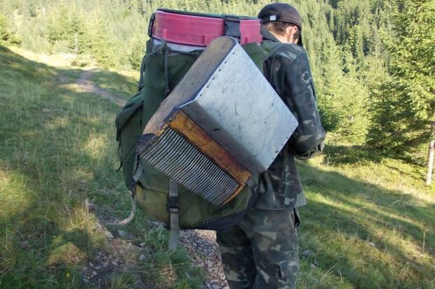 Як збирають афини в Микуличині. Відео. 1