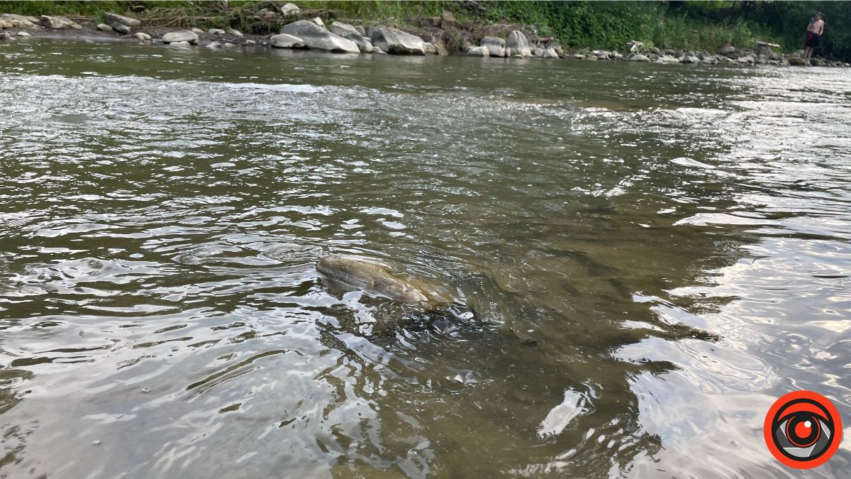 Відпочинок поряд | Енергія гір у селі Шешори 14