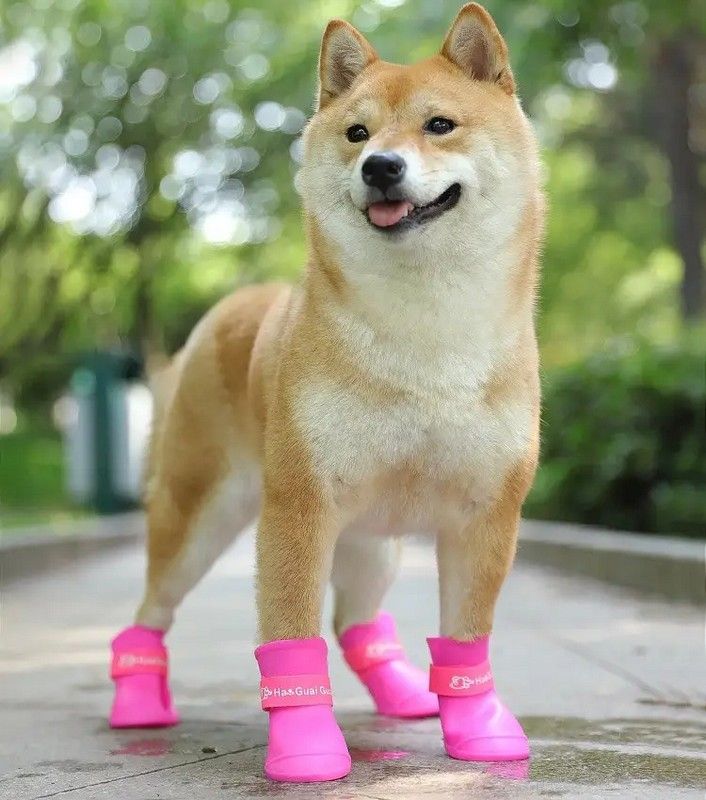 Коломиянам 13 липня можуть знадобитися гумові чоботи 3