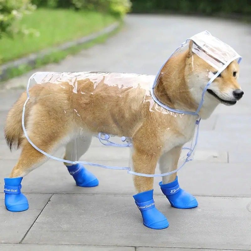 Коломиянам 13 липня можуть знадобитися гумові чоботи 2