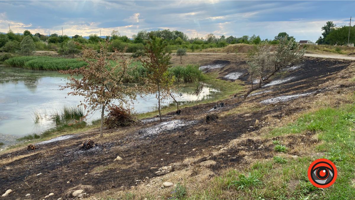 Як після обстрілу: Шевченківське озеро в Коломиї 1