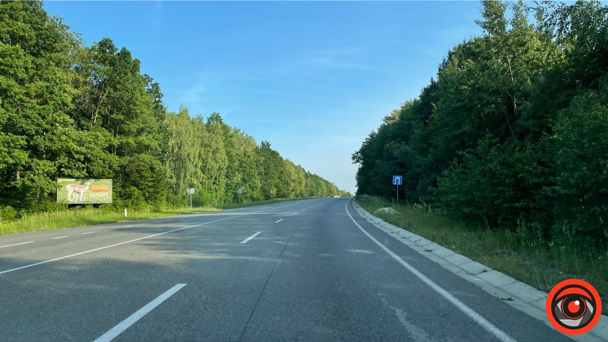 У пошуках сили і спокою: лавандове поле в с. Коршів 1