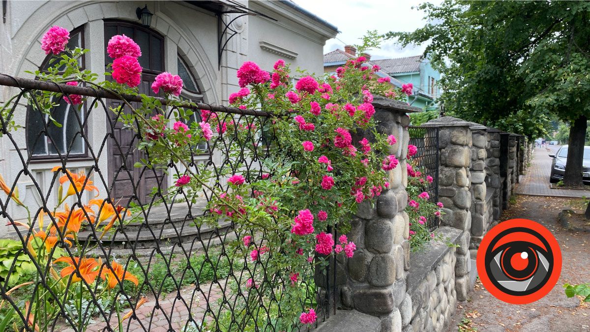 Історії перейменувань: вул. Чехова в Коломиї 3