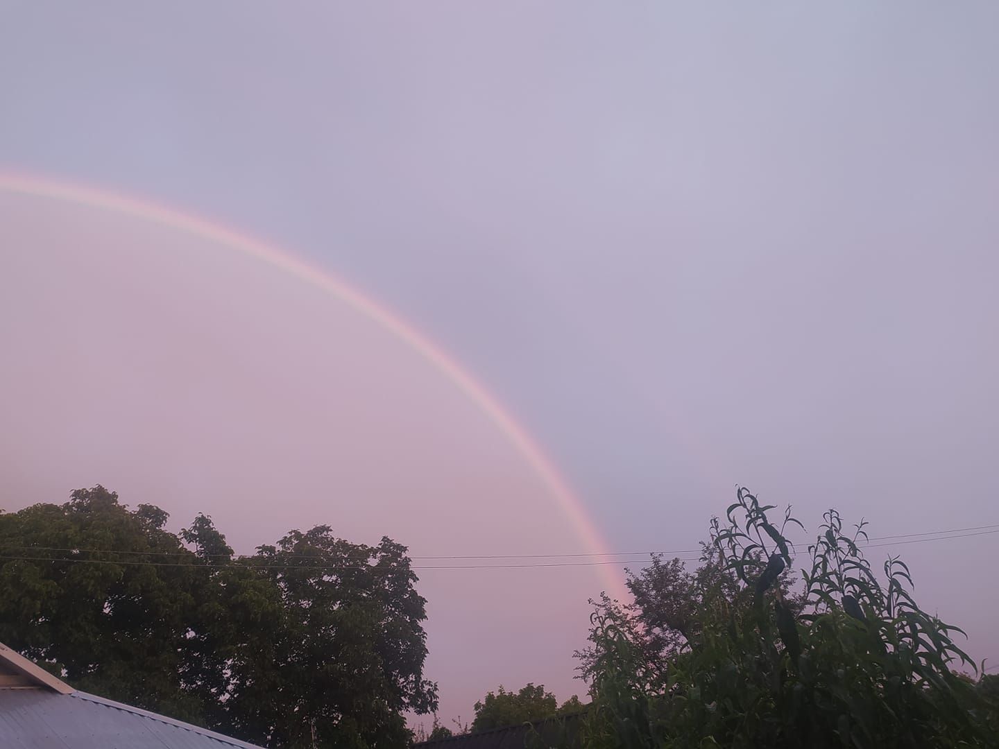 Веселка над Коломиєю, як арка перемоги 1