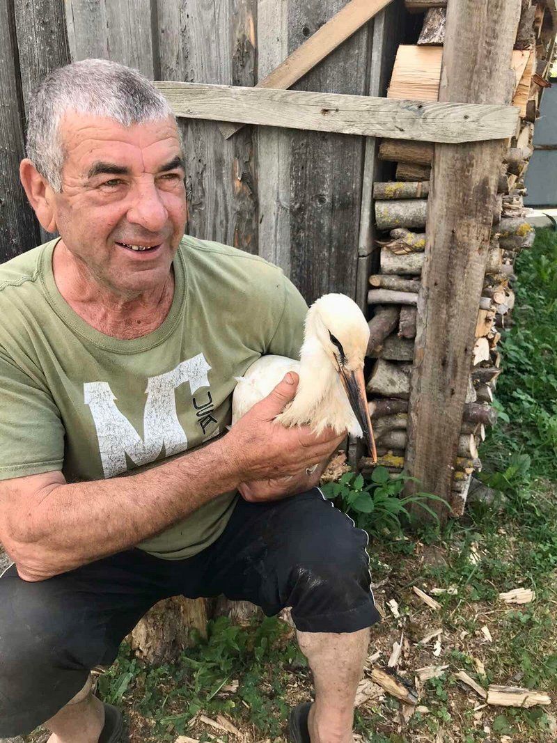 Як на Косівщині лелеку Костю рятували 2