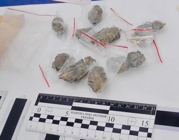 Недільний дует: нетверезий водій та пасажир з наркотиками 1