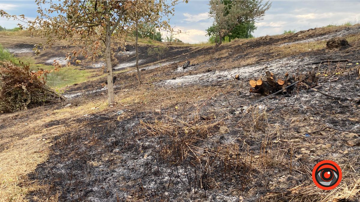 Як після обстрілу: Шевченківське озеро в Коломиї 2