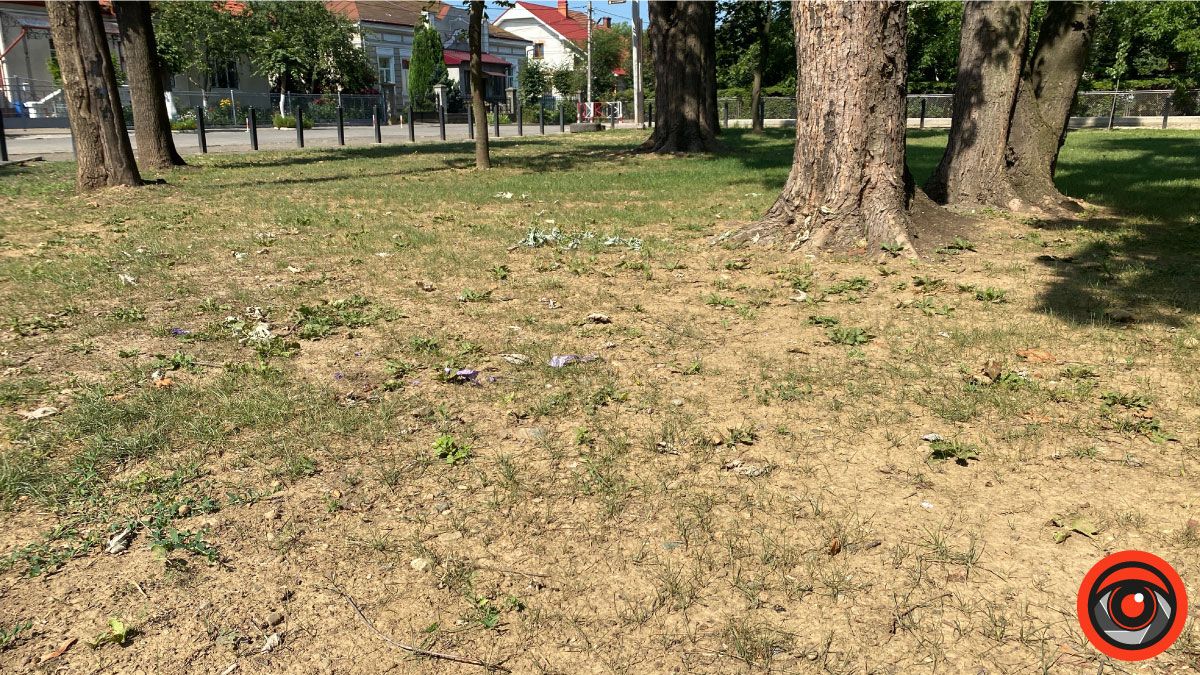 Що треба змінити на міському озері? 3