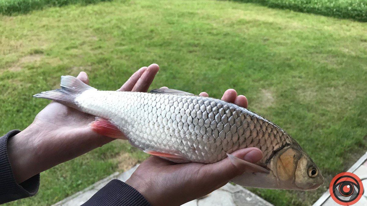 Як стати рибалкою: ґайд для початківця 3