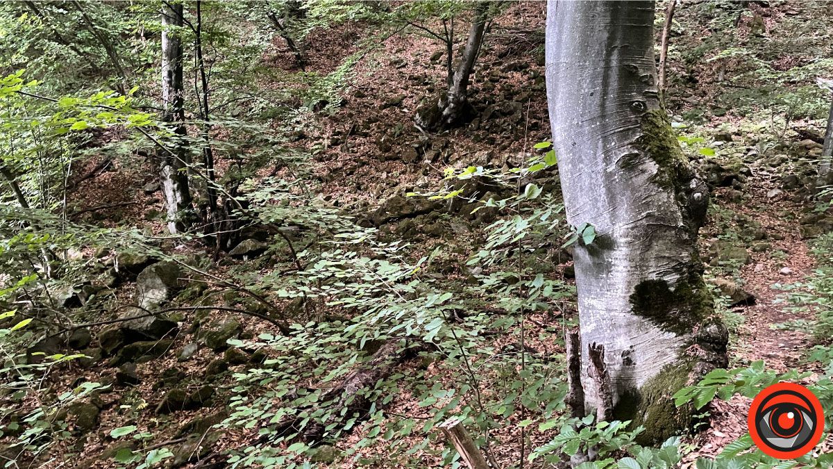 Відпочинок поряд | Енергія гір у селі Шешори 16