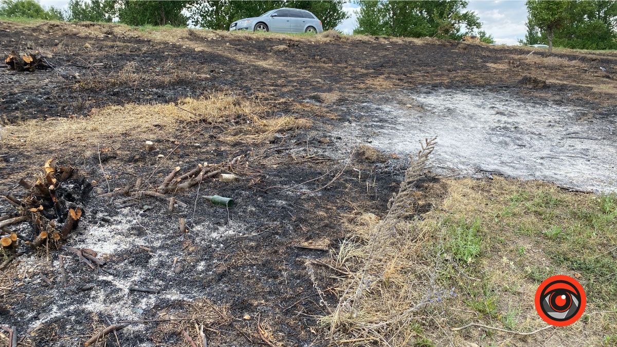 Як після обстрілу: Шевченківське озеро в Коломиї 3