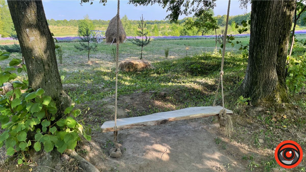 У пошуках сили і спокою: лавандове поле в с. Коршів 8