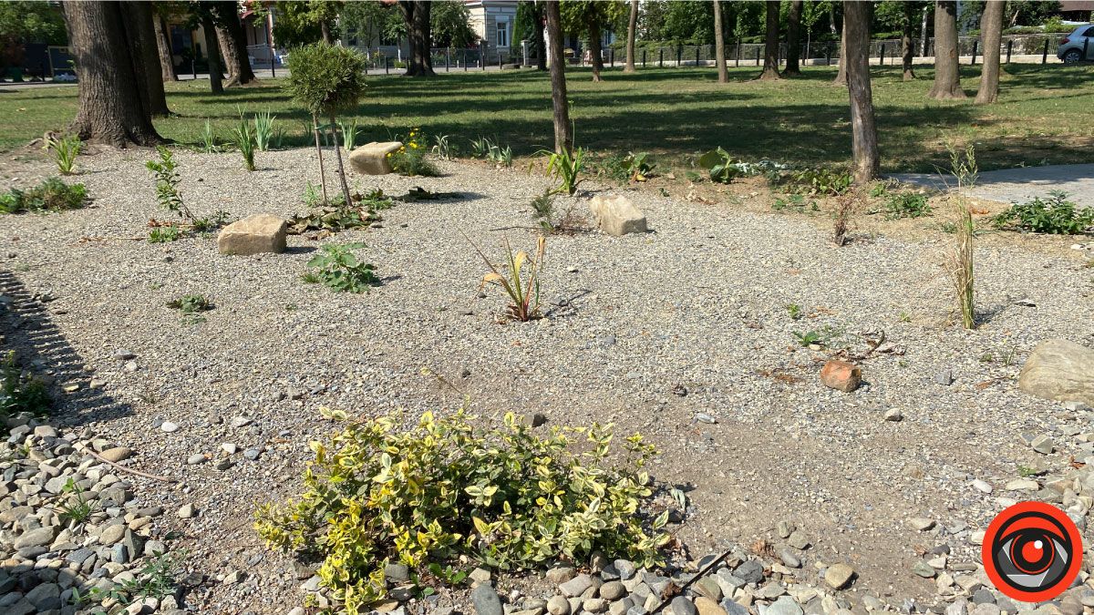 Що треба змінити на міському озері? 6