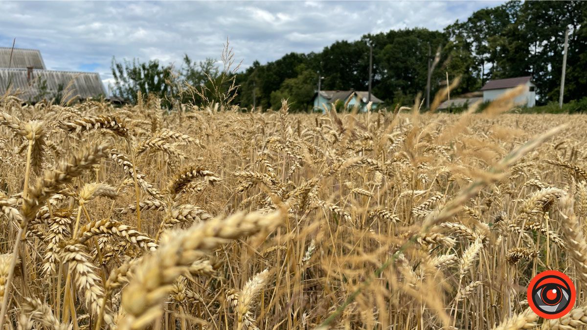 Мандруємо Прикарпаттям: П'ядики - село з гонором й історією 13