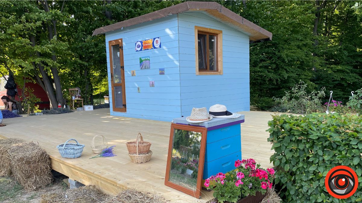 У пошуках сили і спокою: лавандове поле в с. Коршів 4