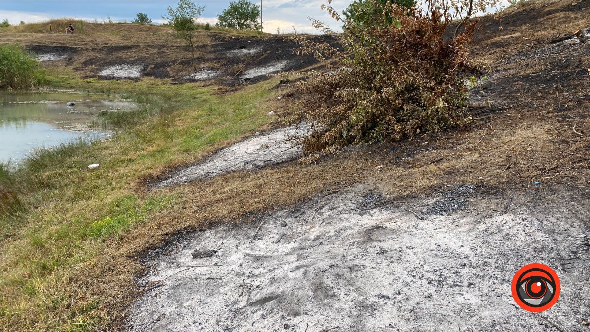 Як після обстрілу: Шевченківське озеро в Коломиї 4