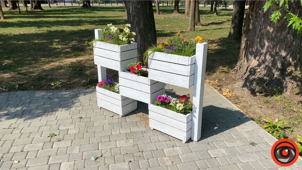 Що треба змінити на міському озері? 8