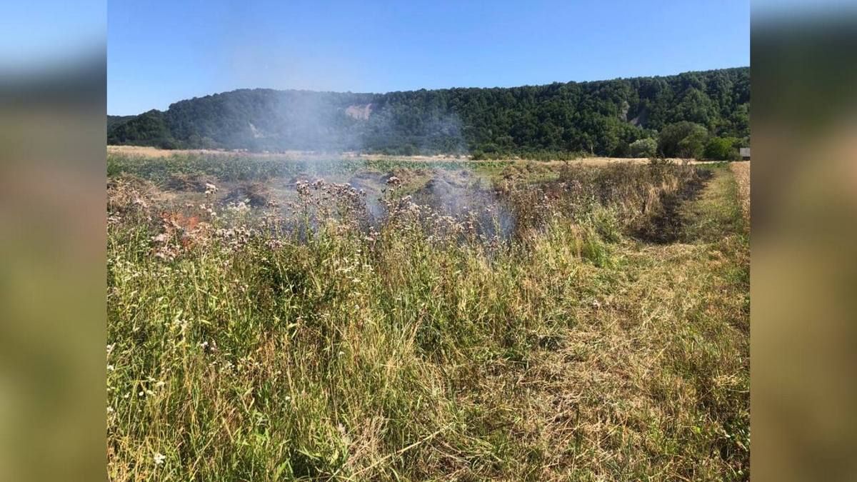 На Коломийщині знову горить пшениця 1