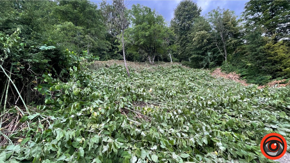 Відпочинок поряд | Енергія гір у селі Шешори 11