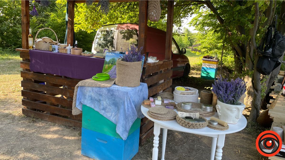 У пошуках сили і спокою: лавандове поле в с. Коршів 9