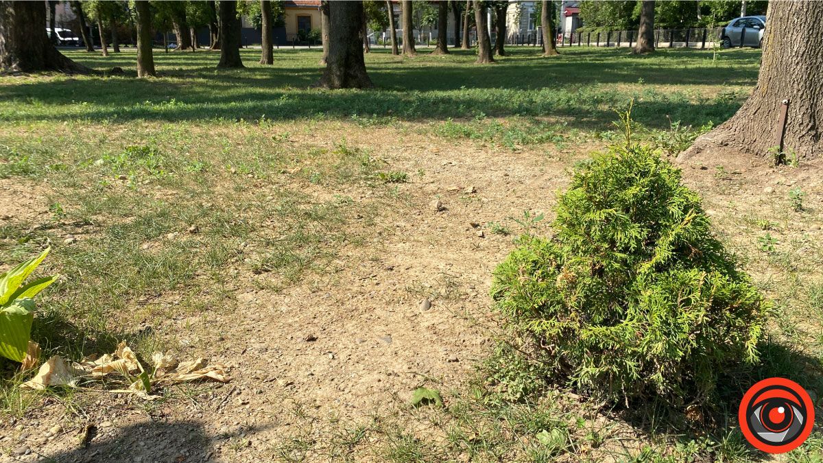 Що треба змінити на міському озері? 4