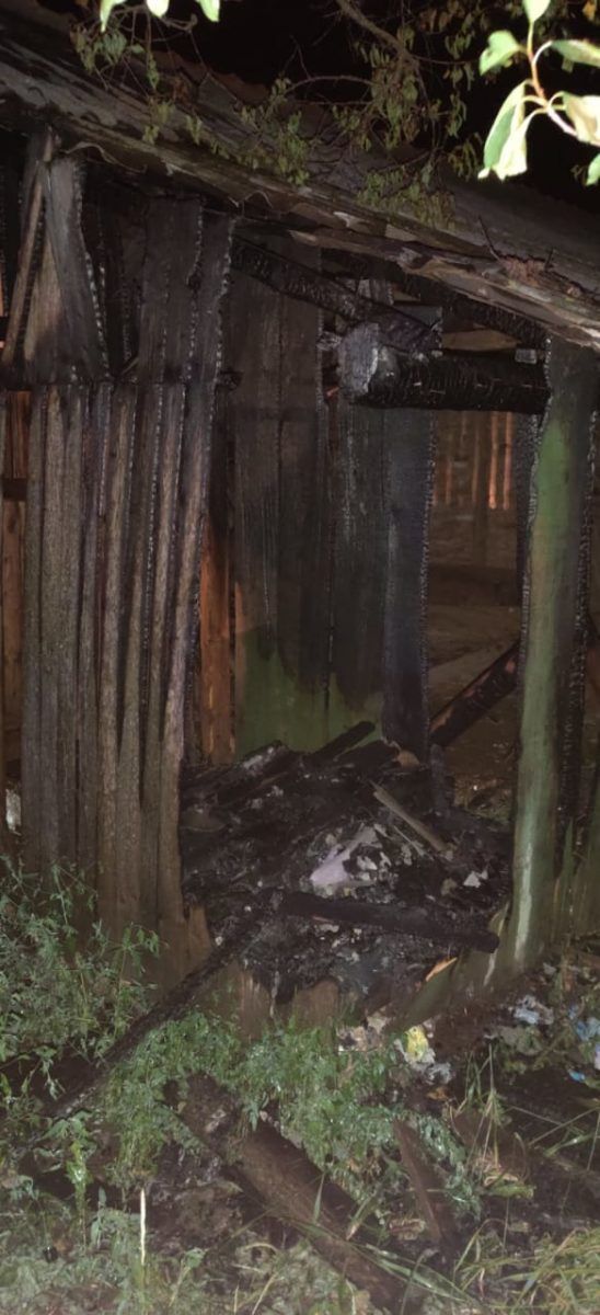 Горіла стайня: подробиці з'ясовуються 3