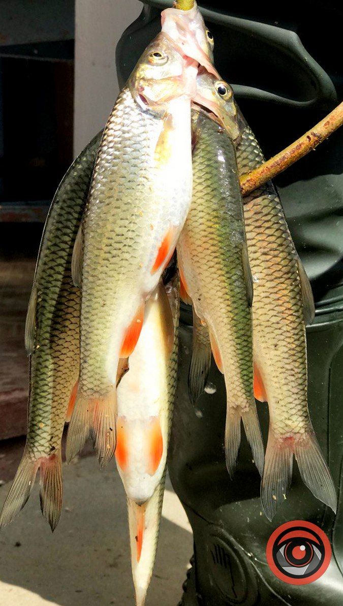 Як стати рибалкою: ґайд для початківця 4