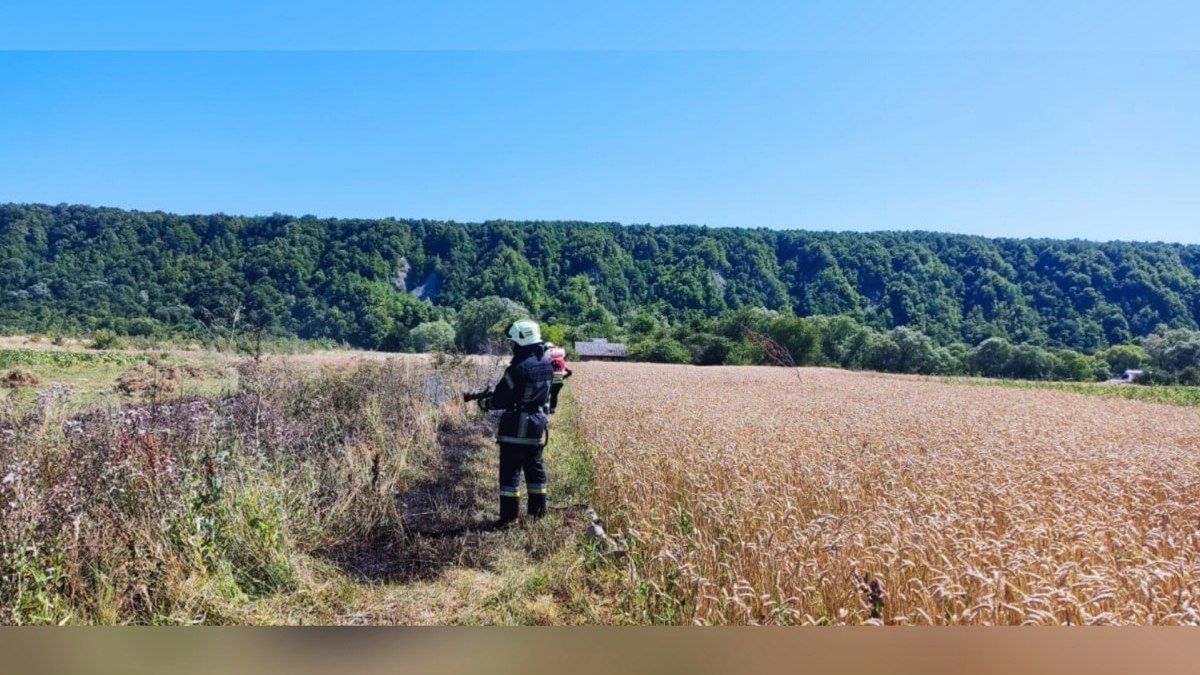 На Коломийщині знову горить пшениця