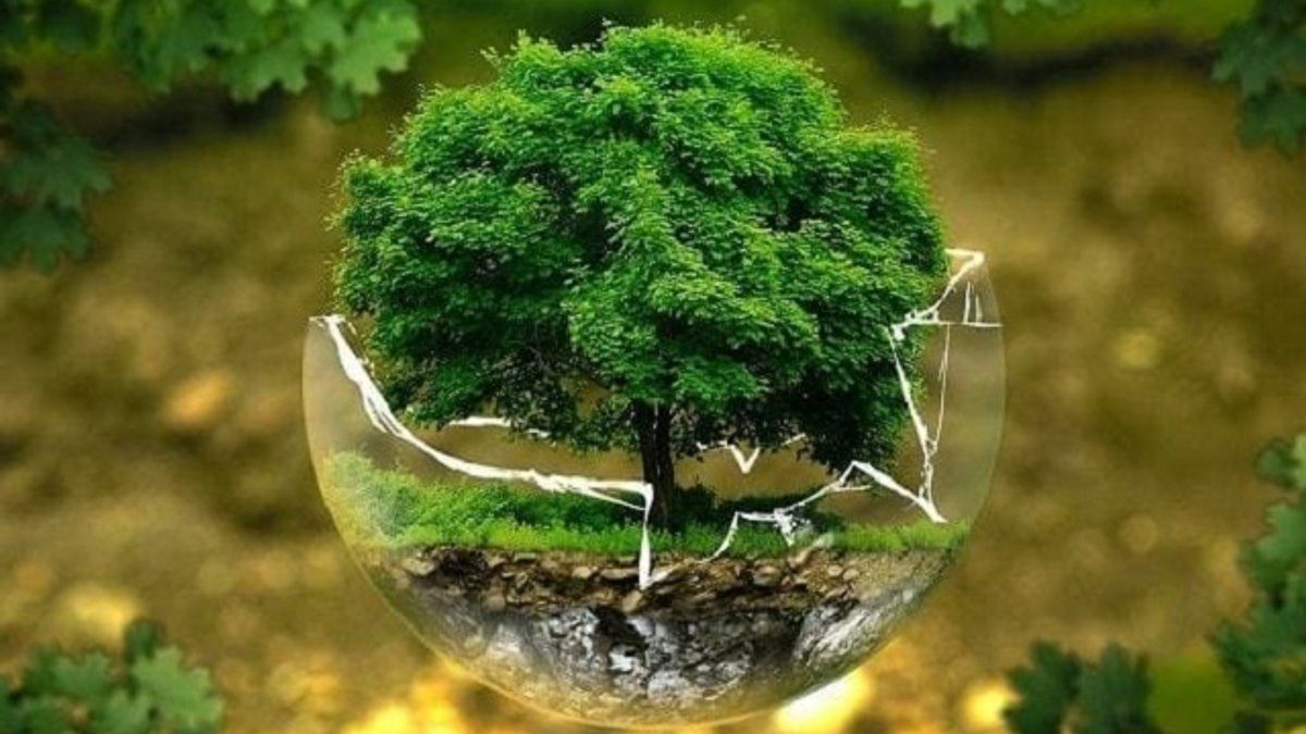 28 липня: кого вітаємо та що святкуємо? 3