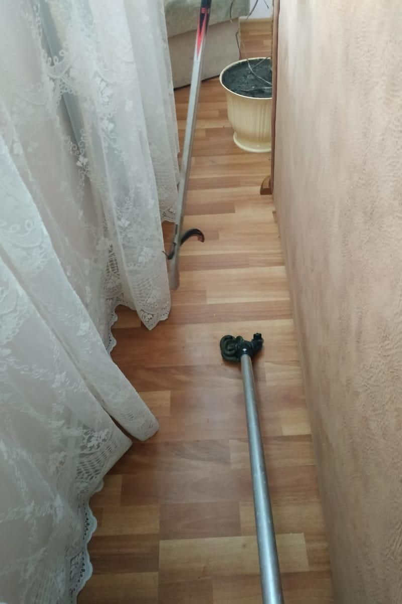 Плазун завітав у гості в будинок на Коломийщині 2