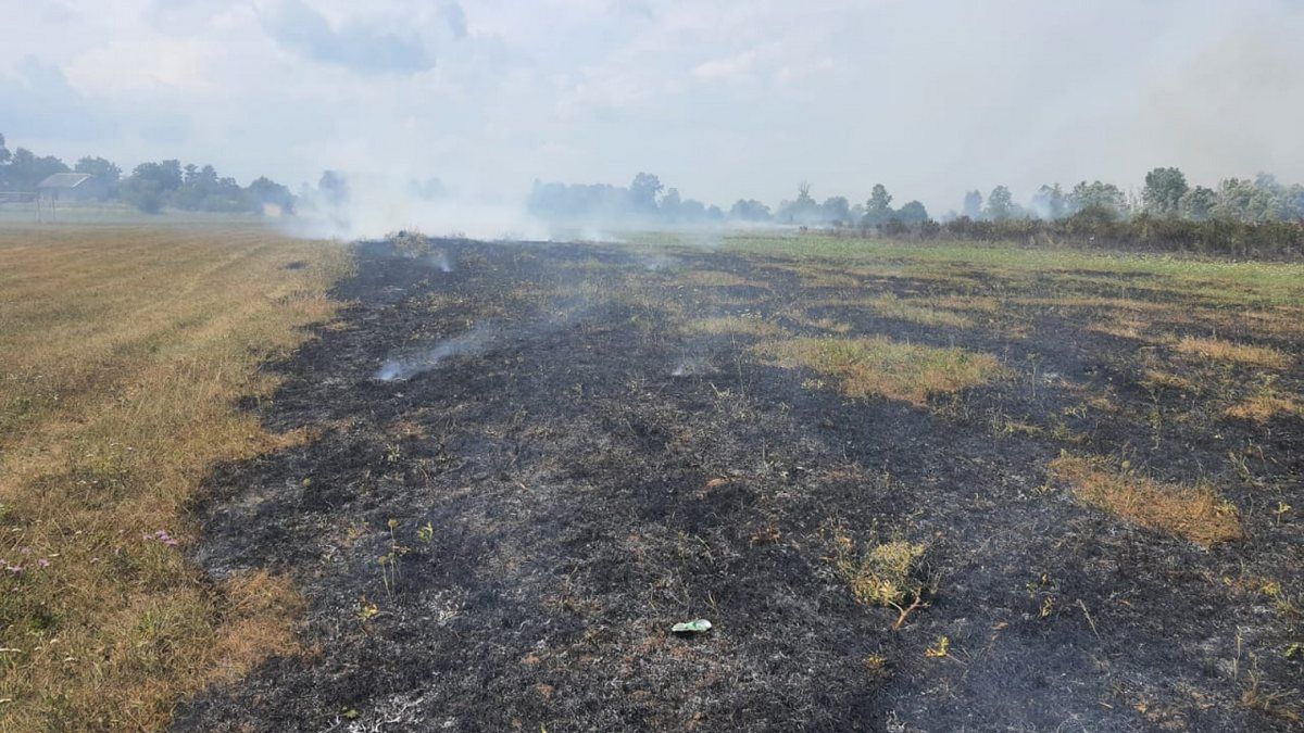 На Коломийщині горить 1,5 га трави 2