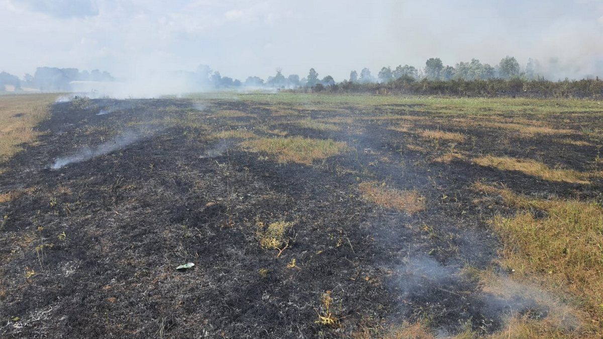 На Коломийщині горить 1,5 га трави