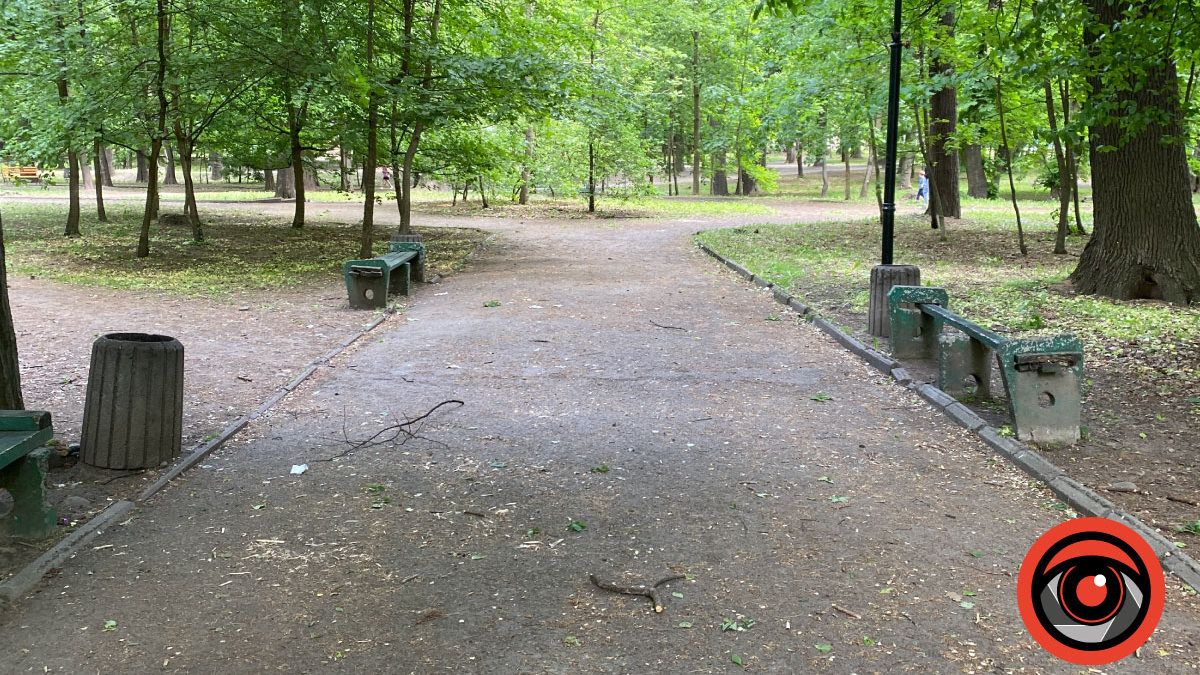 Коломиян кличуть вирішити долю парку імені Трильовського