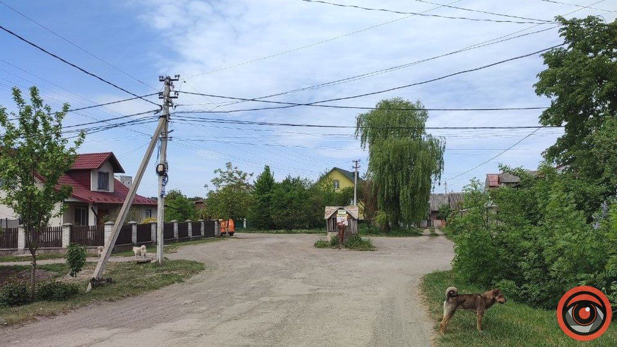 Науковці не радять перейменовувати вулиці Сахарова, Рєпіна й Гоголя в Коломиї 4