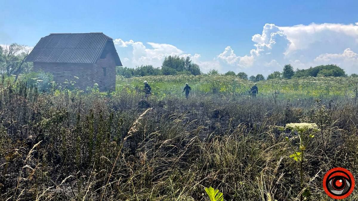 У приватному секторі Коломиї горіла суха трава 2