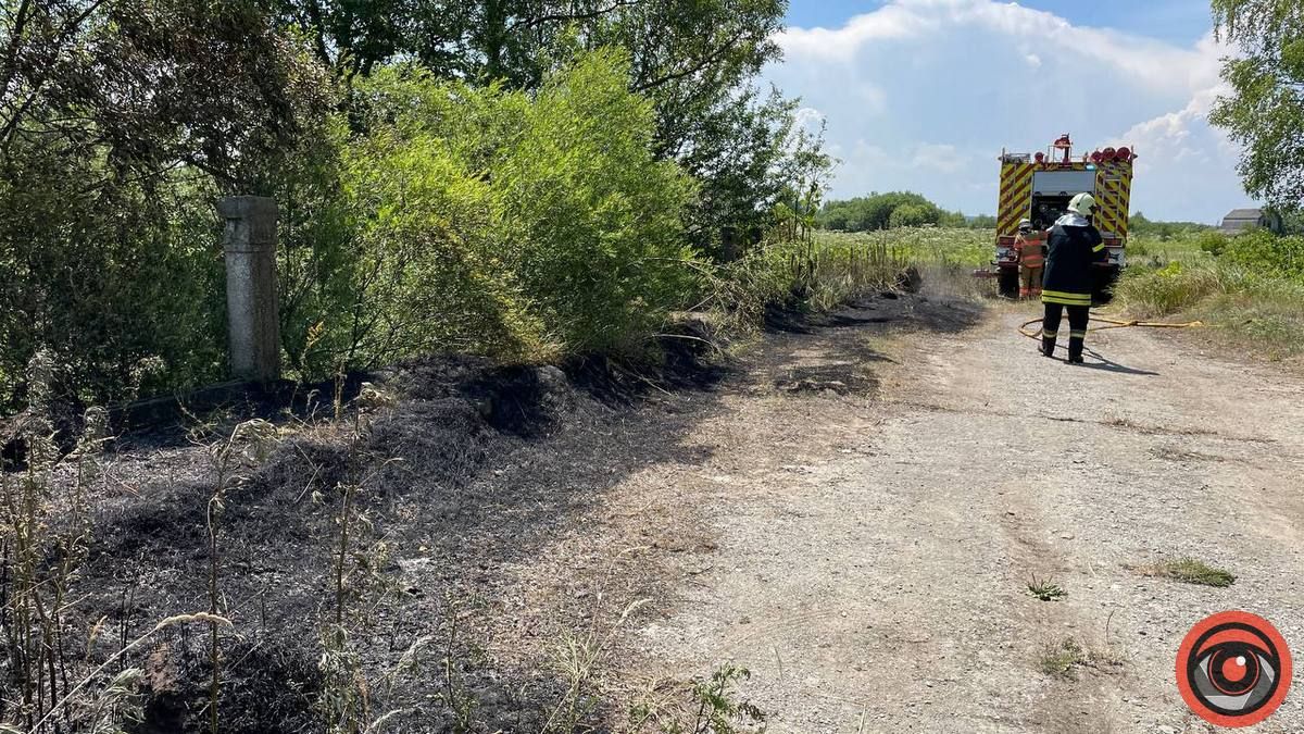 У приватному секторі Коломиї горіла суха трава 1