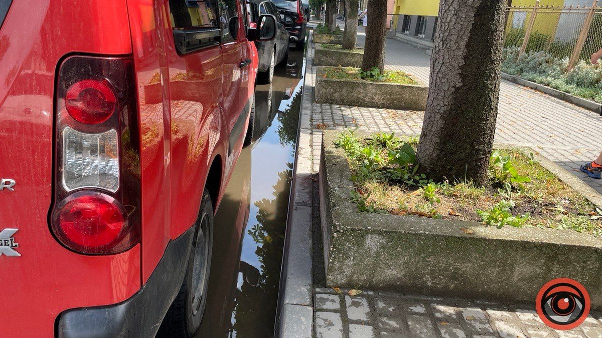 Калюжі в Коломиї: як виглядає місто після дощу. Фоторепортаж 16