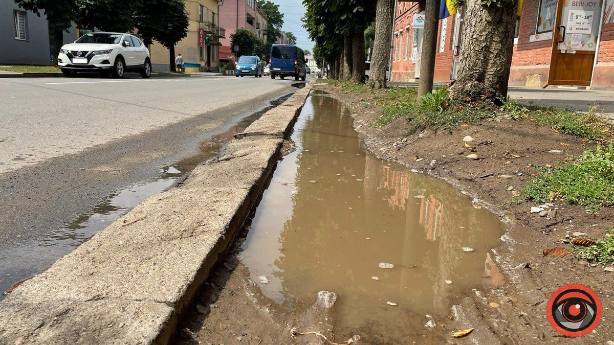 Калюжі в Коломиї: як виглядає місто після дощу. Фоторепортаж 19