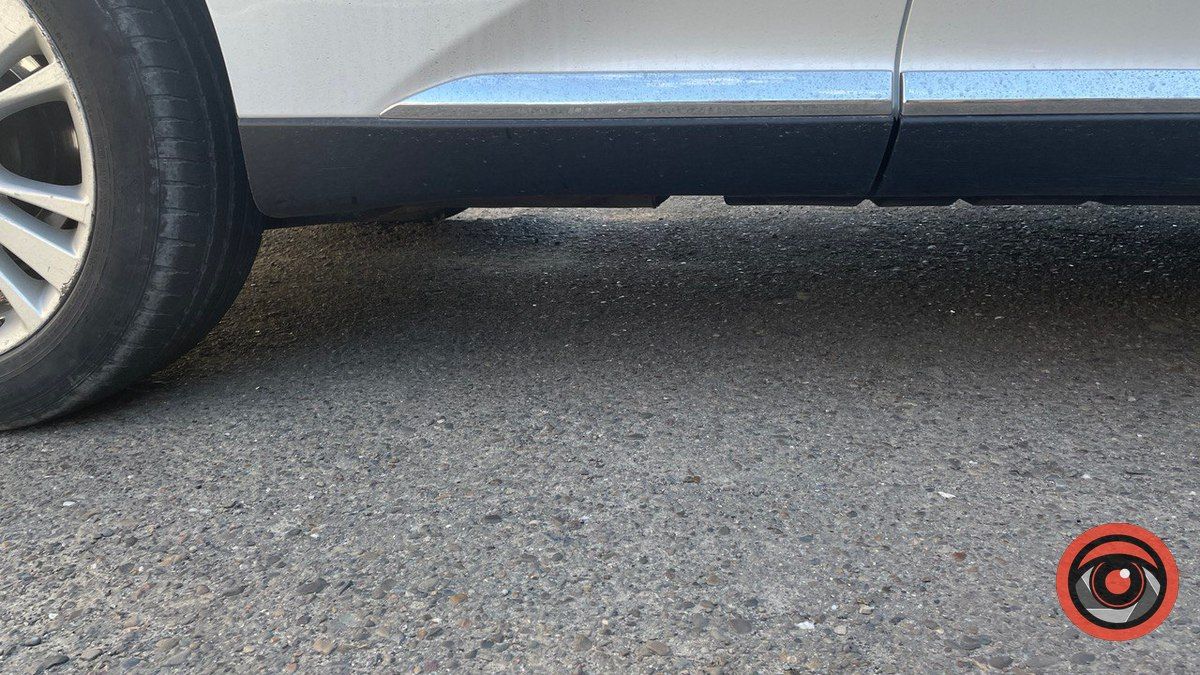 У центрі Коломиї ловили змію 2