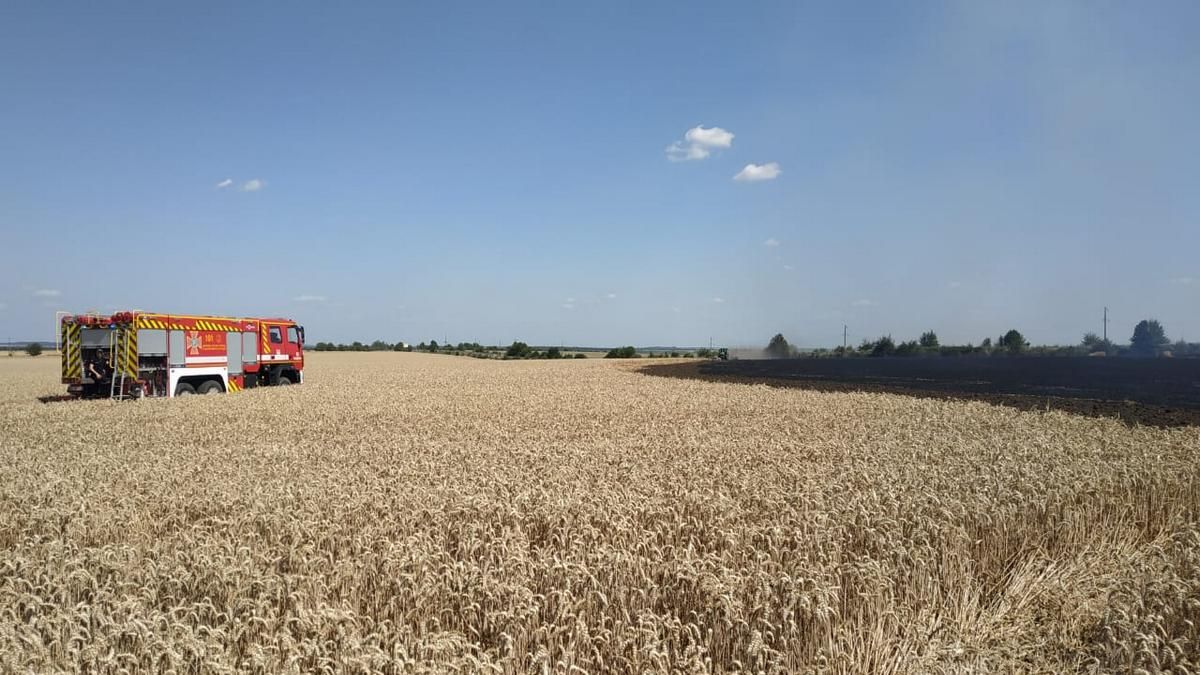 У Семаківцях горіло 3 гектари пшениці 1