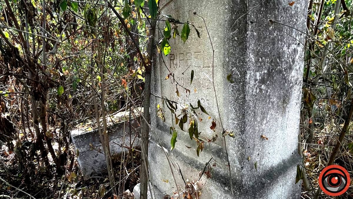 Давнє покинуте німецьке кладовище в Коломиї. Фоторепортаж 13