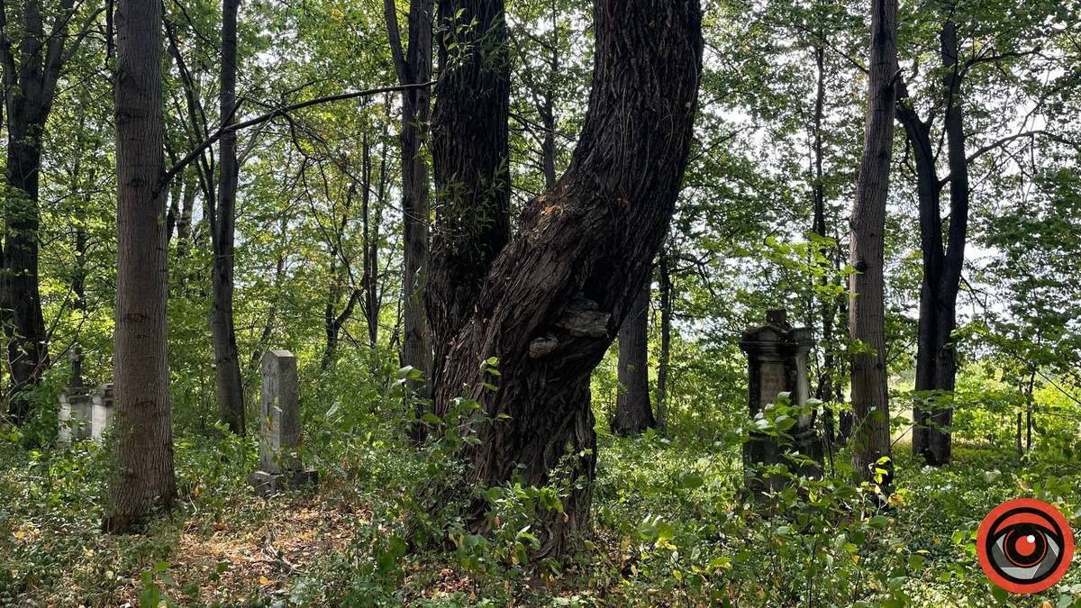 Давнє покинуте німецьке кладовище в Коломиї. Фоторепортаж 6