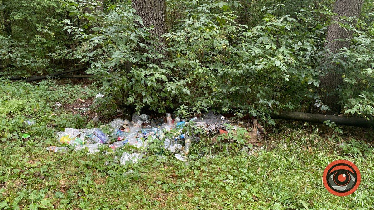 Відпочинок на природі: локація для пікніка неподалік Коломиї 6