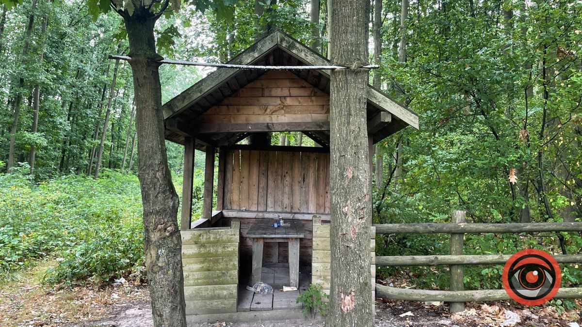 Відпочинок на природі: локація для пікніка неподалік Коломиї 5