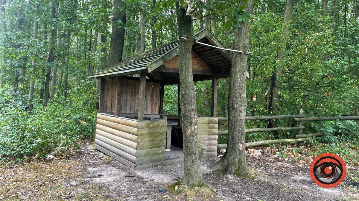 Відпочинок на природі: локація для пікніка неподалік Коломиї 1