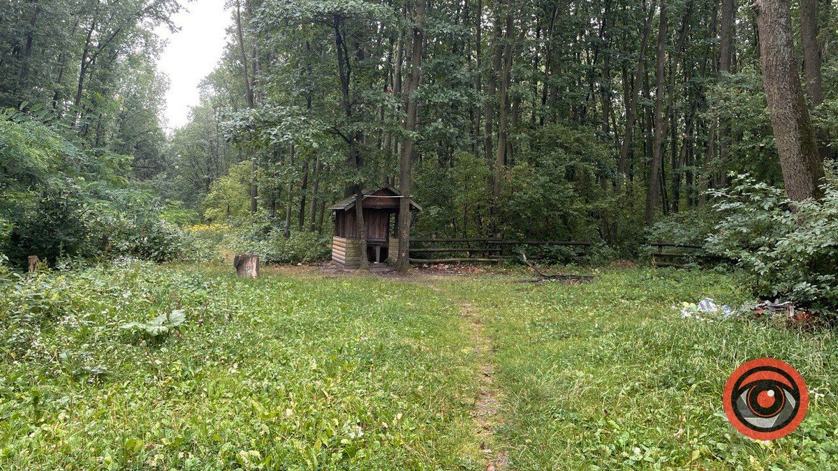 Відпочинок на природі: локація для пікніка неподалік Коломиї 4