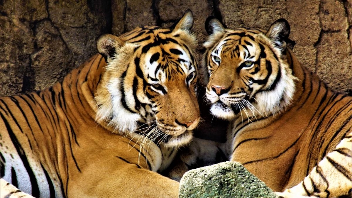 Чим цікава сьогоднішня дата - 29 липня