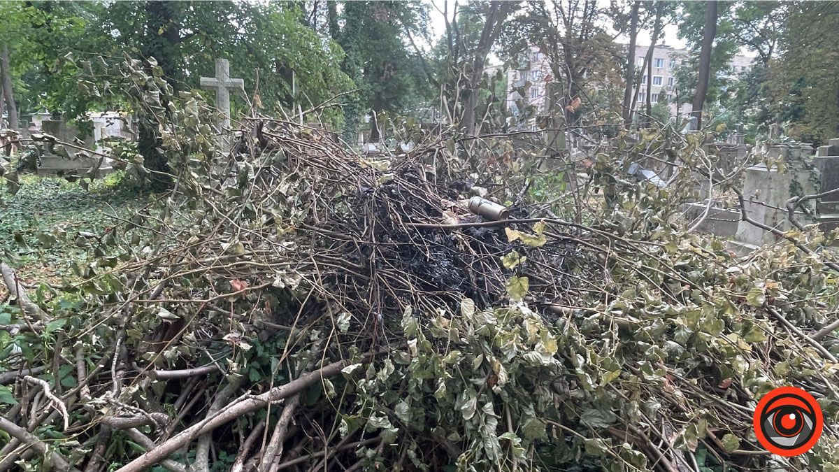 Пожежа на кладовищі: горіло сміття 2